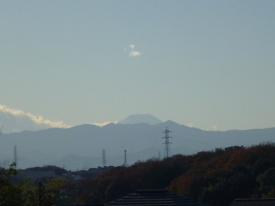 P1450360.JPG